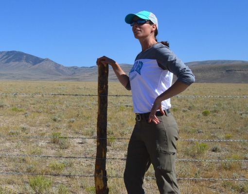 Woman standing by a fence in a grassy landscape under a clear blue sky.