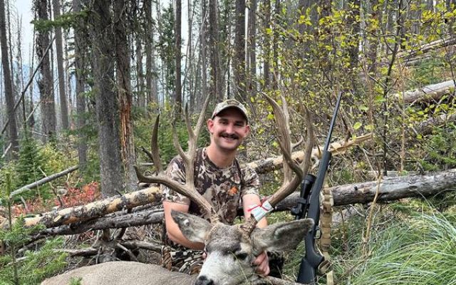 Hunter with mule deer in a forest setting.
