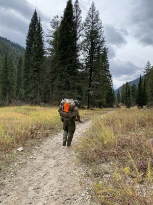 Hunter walking on a forest trail with a backpack.