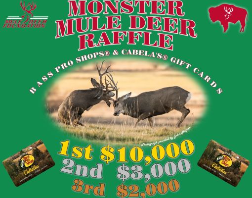 Mule deer bucks fighting on a raffle poster for Mule Deer Foundation