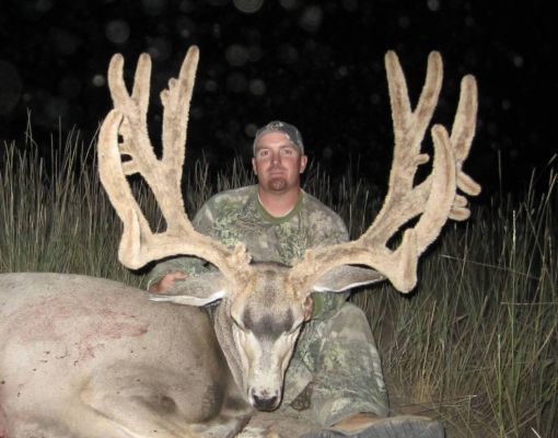 Hunter with large mule deer buck at night.