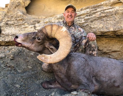 Hunter with harvested bighorn sheep in rugged terrain.