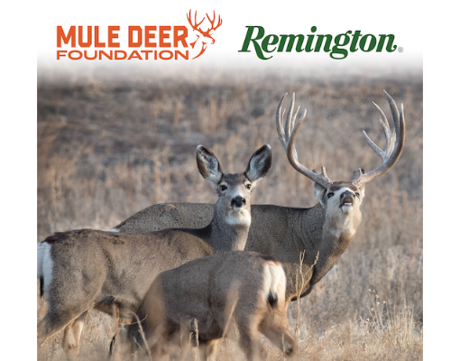The Mule Deer Foundation (MDF) is proud to announce the continuation of its long-standing partnership with Remington.