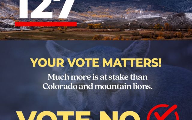 Campaign graphic for Proposition 127 with mountain scenery and mountain lion closeup.