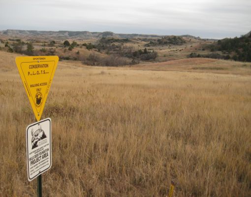 Mule Deer Foundation project area sign in a grassy habitat