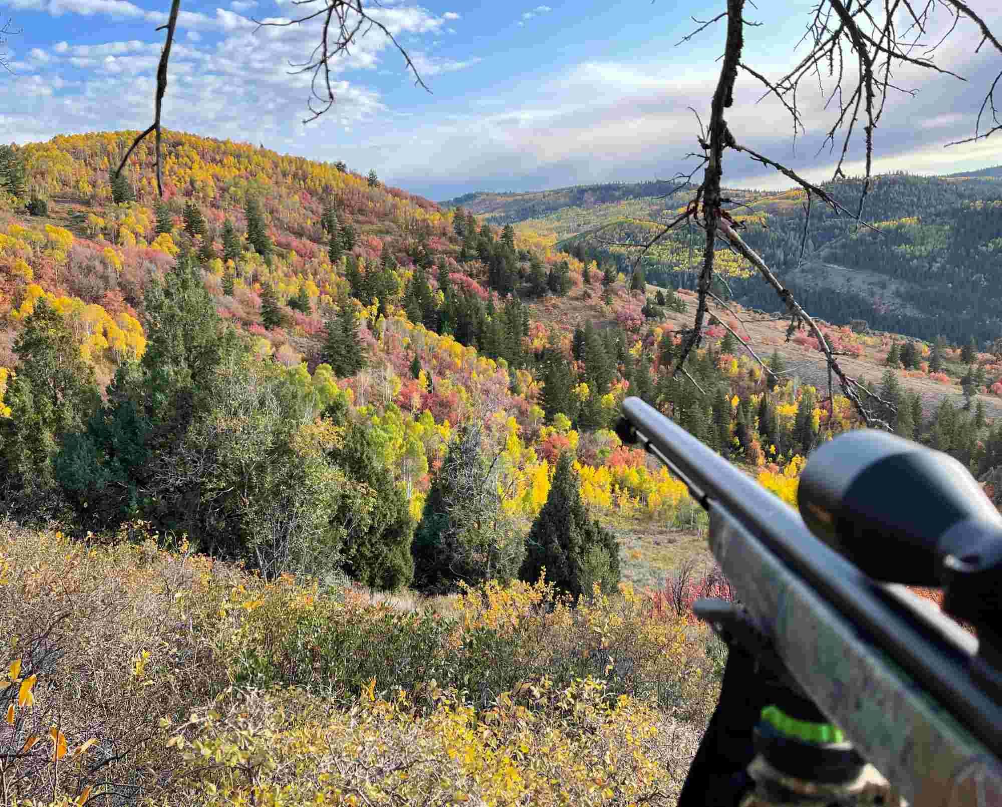 Hunting scene with rifle overlooking a colorful autumn landscape.