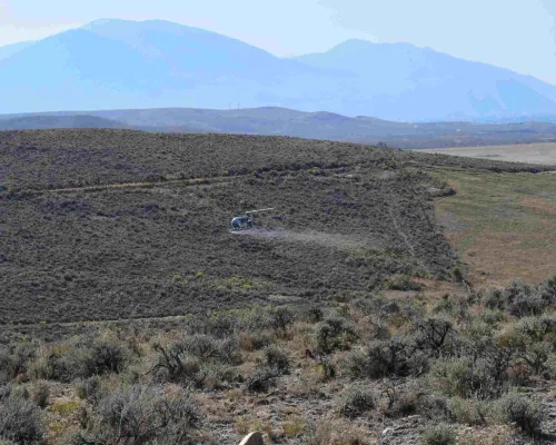 Helicopter performing vegetation management in sagebrush habitat.