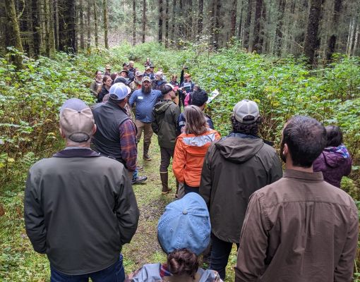Group networking in a forest setting for conservation efforts.