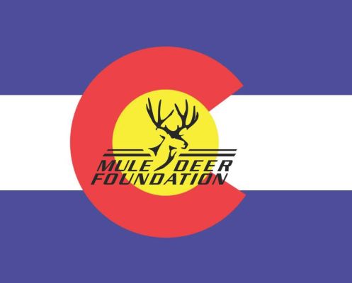 Mule Deer Foundation logo on a Colorado flag background.