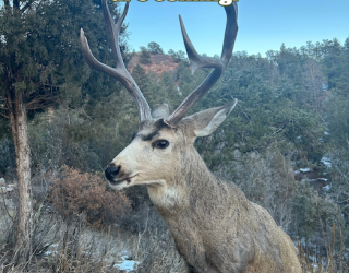 Great news! More hunting opportunities are coming!