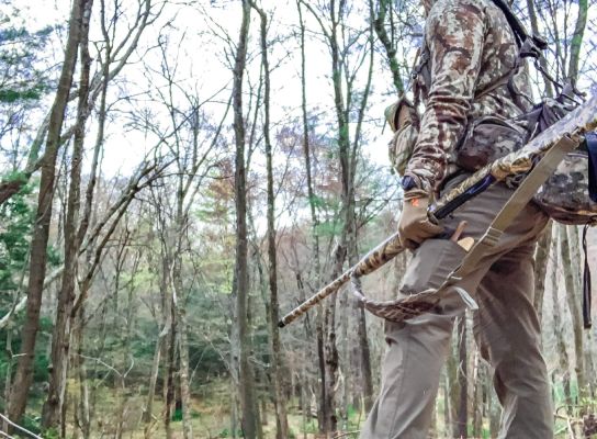 Hunter in camouflage observing the woods