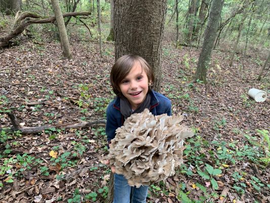 Child holding a large mushroom in a forest setting.
