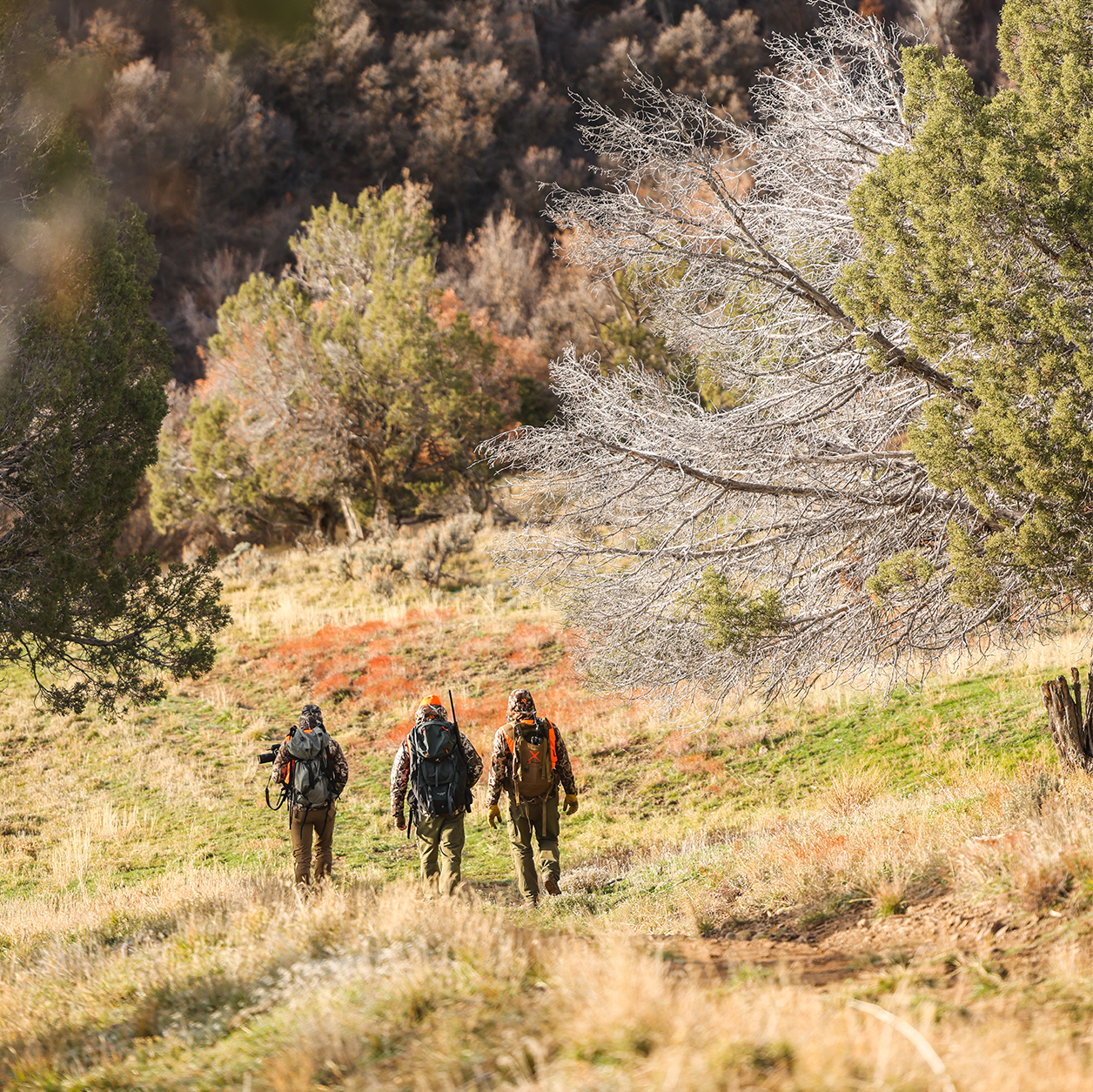 Hunters walking through a natural landscape in fall.