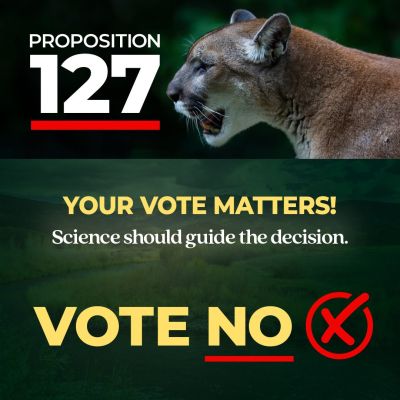 Cougar with text promoting Proposition 127 vote