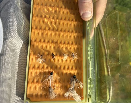 Close-up of fishing flies in a storage box held by a person.