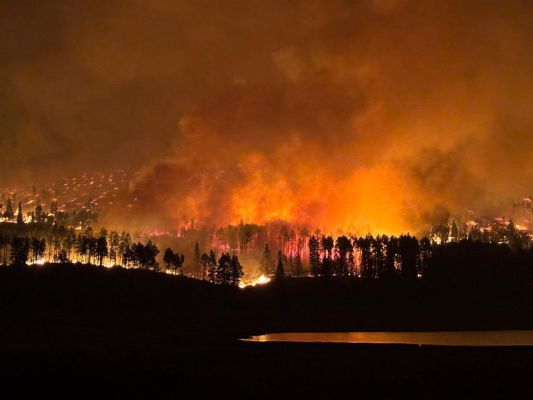 Wildfire burning in a forest at night with smoke and flames