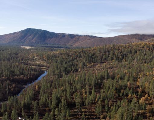 Aerial view of a forested mountain area with a winding river.