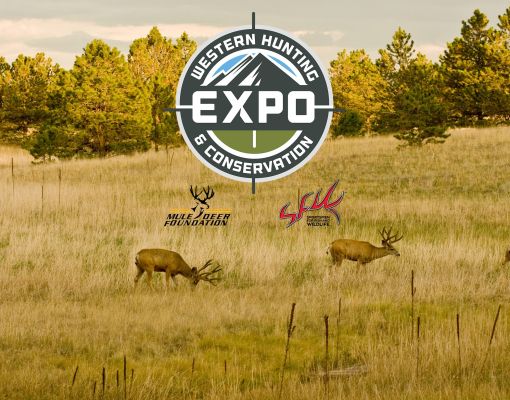 Mule deer in a grassy field with Western Hunting Expo logo