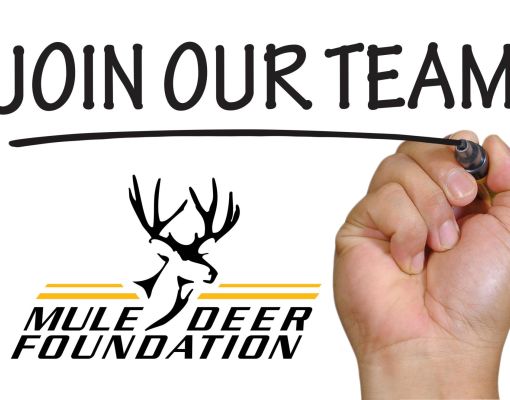 Join Our Team campaign for Mule Deer Foundation