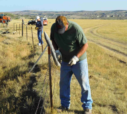 Volunteers repairing a fence in a grassy field.