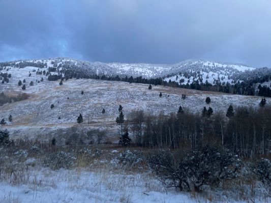 Snowy mountain landscape with tree-covered slopes.