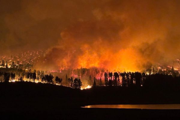 Wildfire burning in a forest at night with smoke and flames