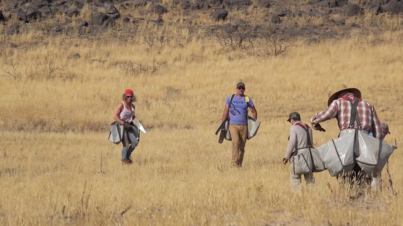 Volunteers participating in habitat restoration in a grassland setting.