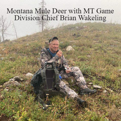 Man sitting in the field with a mule deer in Montana.