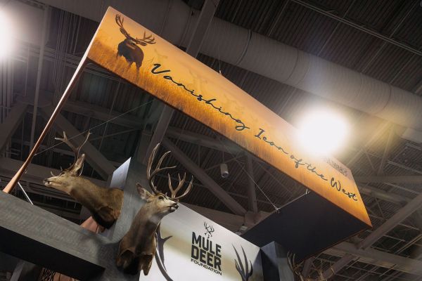 the Mule Deer Foundation introduced a bold new national campaign aimed at confronting one of the most pressing challenges in Western wildlife conservation. Centered around the message “The Vanishing Icon of the West,” the campaign reflects both the significance of mule deer to the American West and the growing urgency to restore their numbers across the landscape.