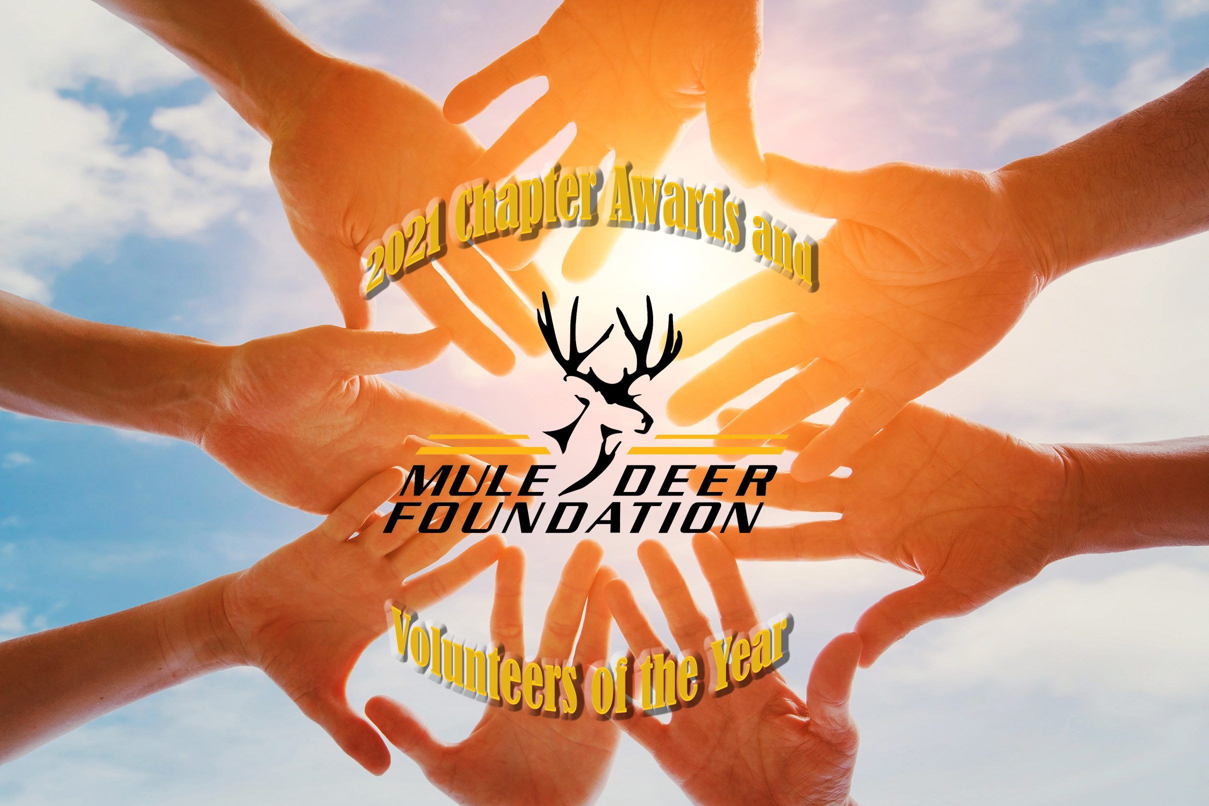 Hands coming together symbolizing teamwork for Mule Deer Foundation awards.