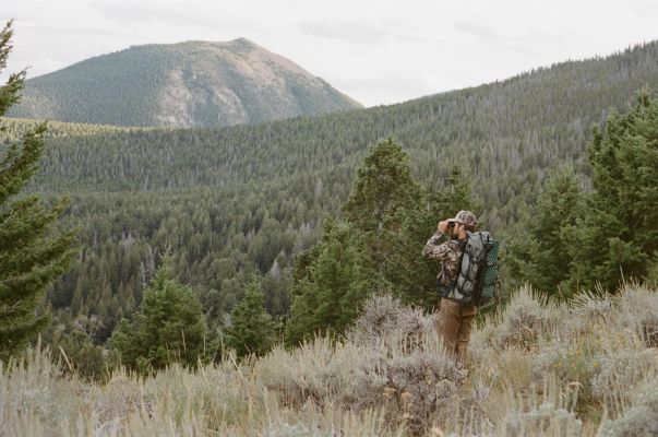 Hunter observing wildlife in a mountainous forested landscape.