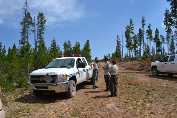Group of wildlife conservation volunteers discussing project in forest.