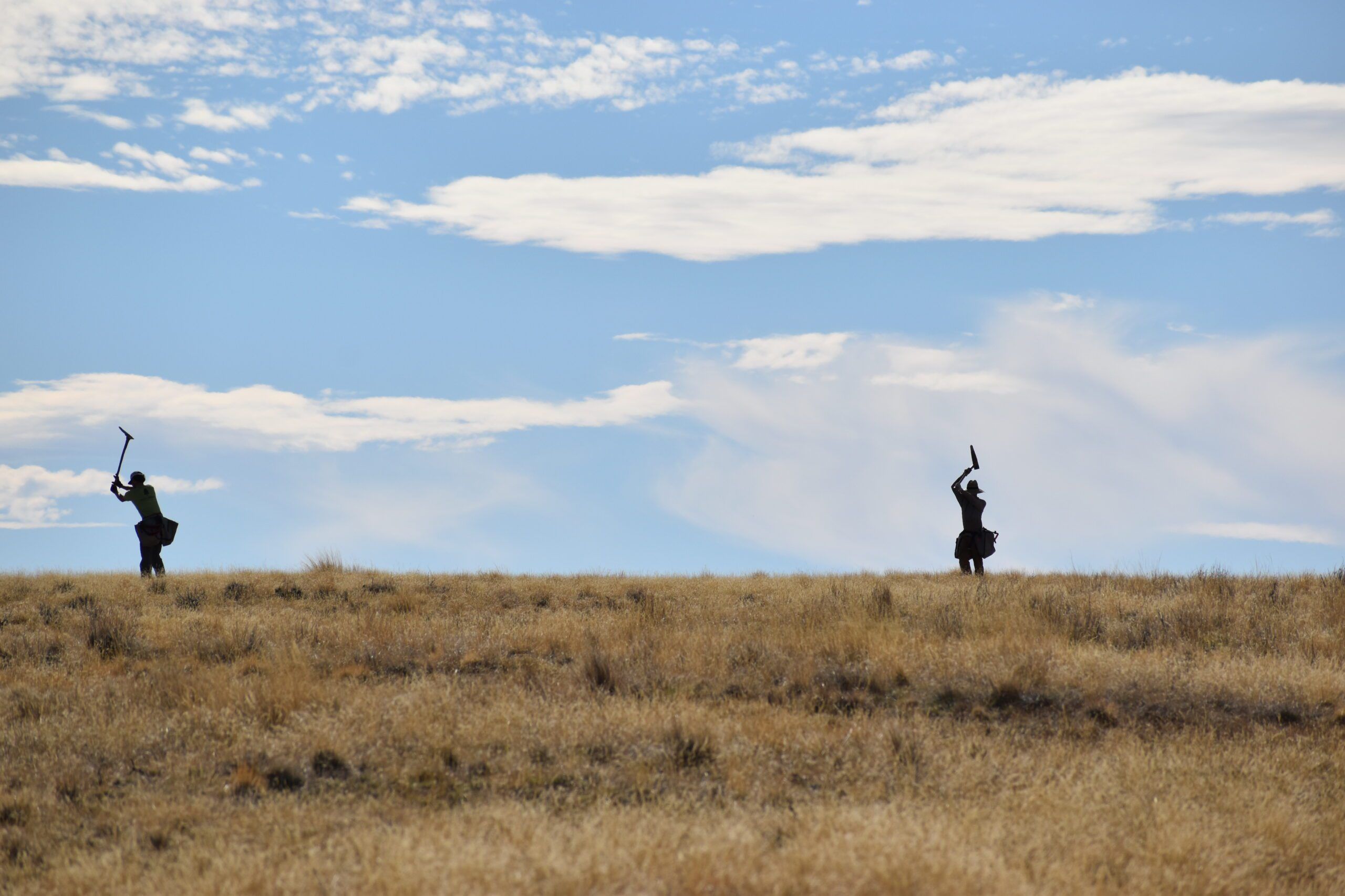 Volunteers engaged in habitat restoration in sagebrush steppe.
