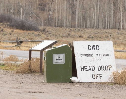 Chronic Wasting Disease head drop-off site for elk