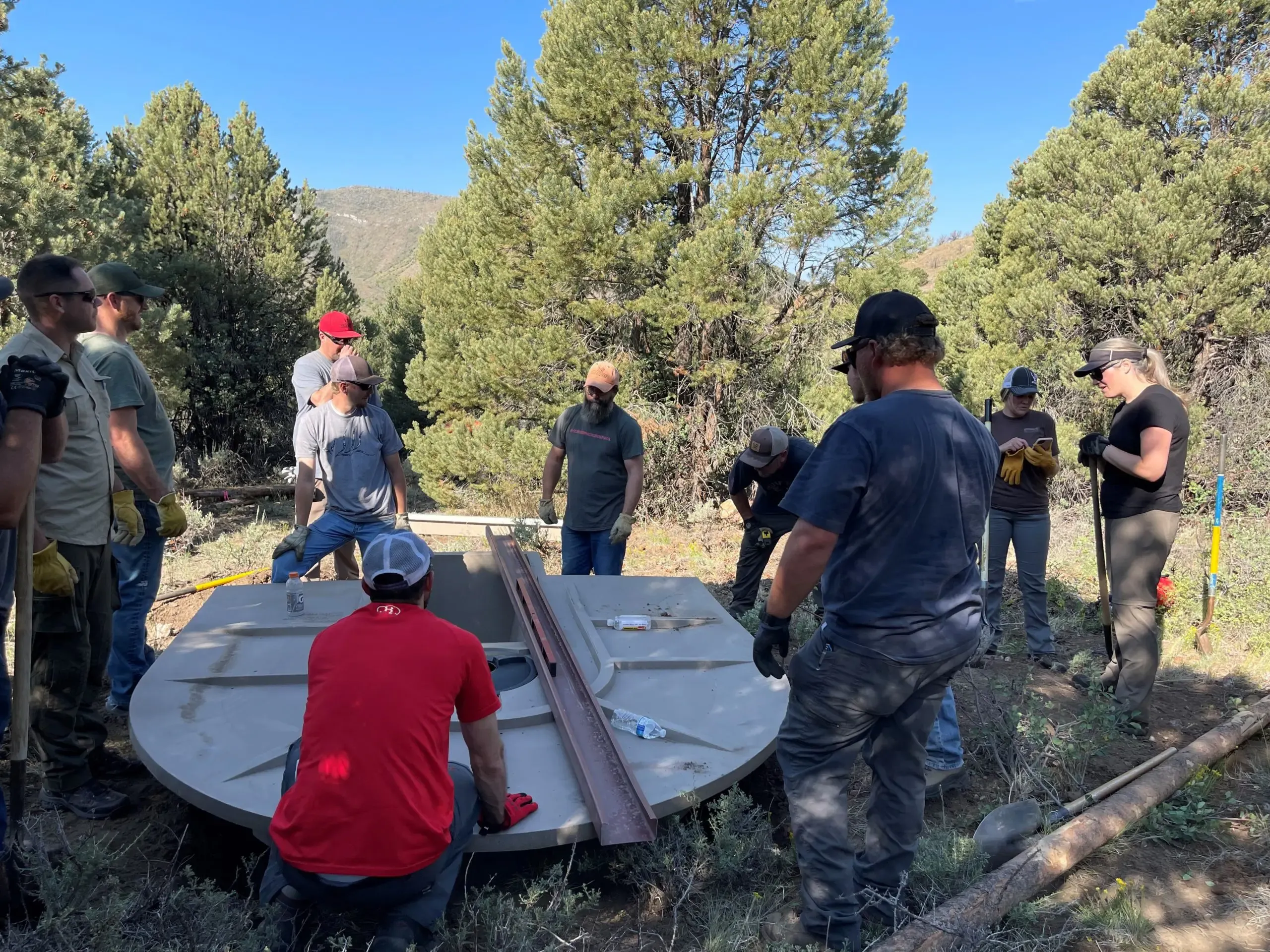 Volunteers working on a wildlife conservation project in the forest.
