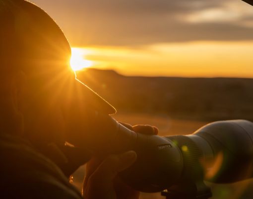 A wildlife observer using a spotting scope at sunset.