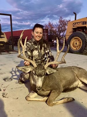 Mule deer buck harvested by a hunter in camouflage clothing.