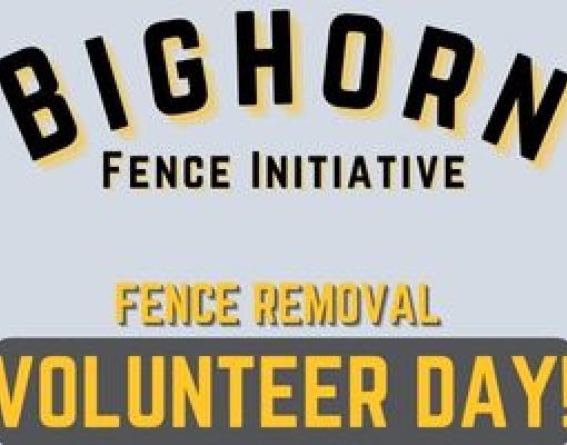 Bighorn Fence Initiative Volunteer Day for Fence Removal
