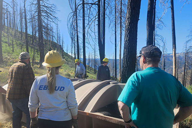 Volunteers engaged in wildlife habitat restoration after a wildfire.