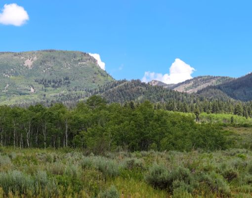 Lush mountain landscape with blue sky and clouds.