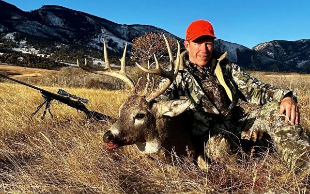 Mule deer buck with hunter in a mountain meadow