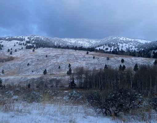Snowy mountain landscape with tree-covered slopes.