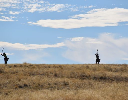 Volunteers engaged in habitat restoration in sagebrush steppe.