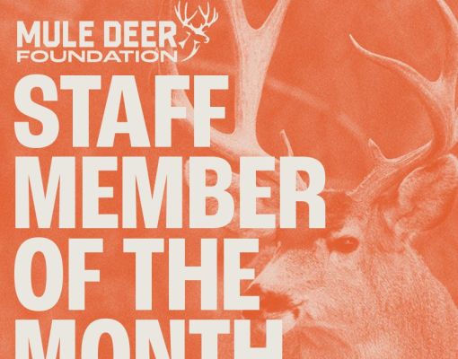 Mule Deer Foundation Staff Member of the Month announcement.