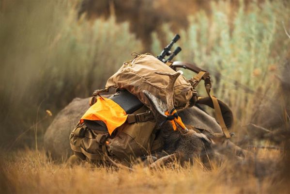 Hunting gear and mule deer in an outdoor setting