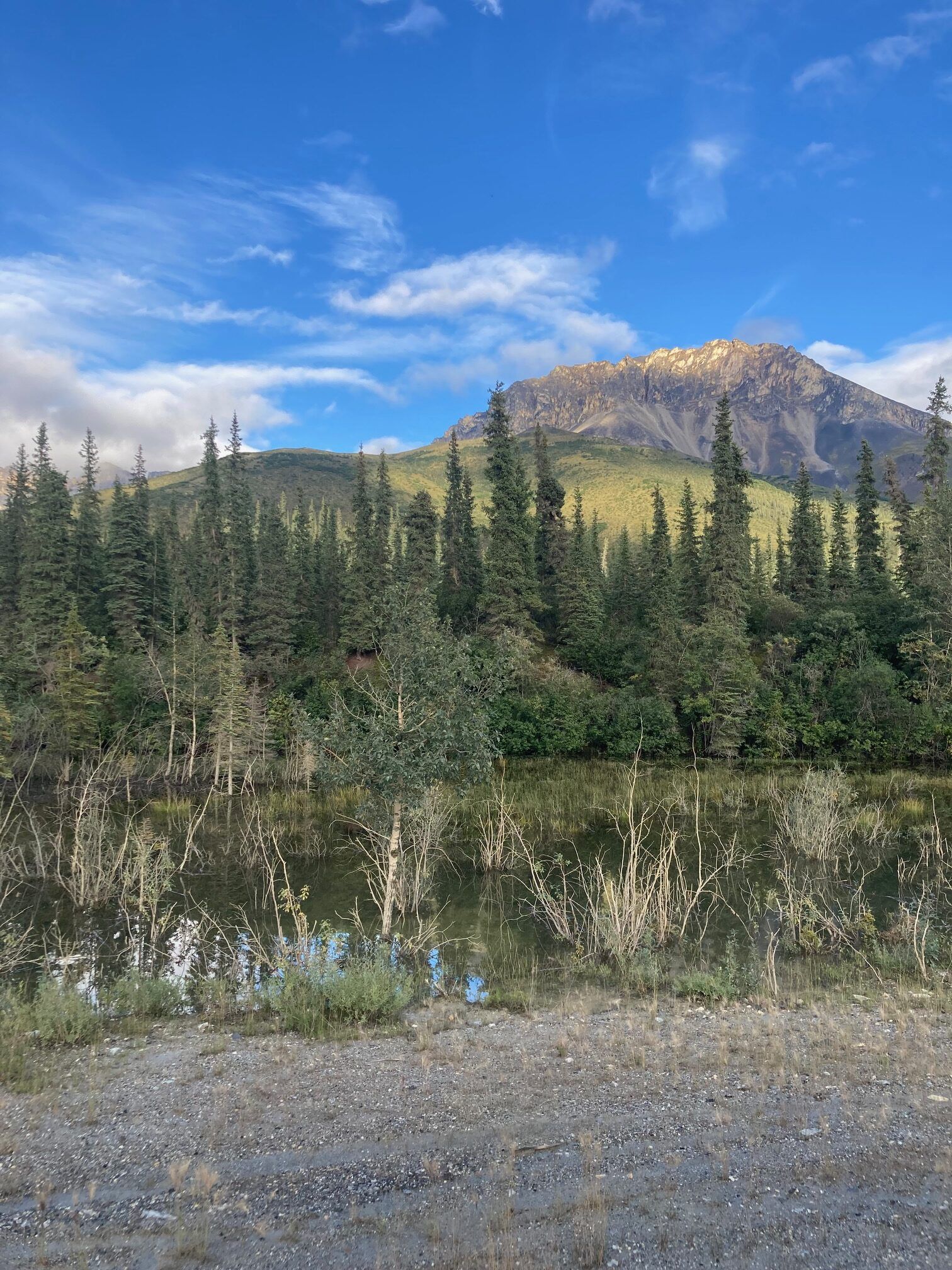 Mountain view with forest and water's edge under a blue sky.