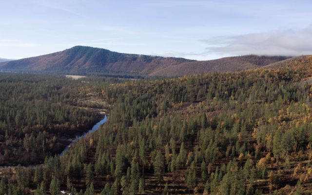 Aerial view of a forested mountain area with a winding river.