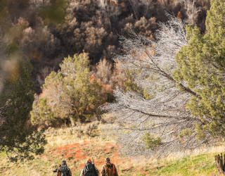Hunters walking in a mountain meadow environment during autumn.