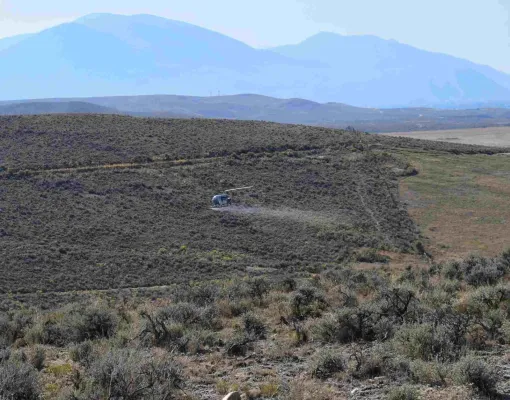 Helicopter performing vegetation management in sagebrush habitat.