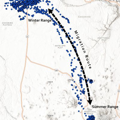 Map showing migration route of mule deer between winter and summer ranges.